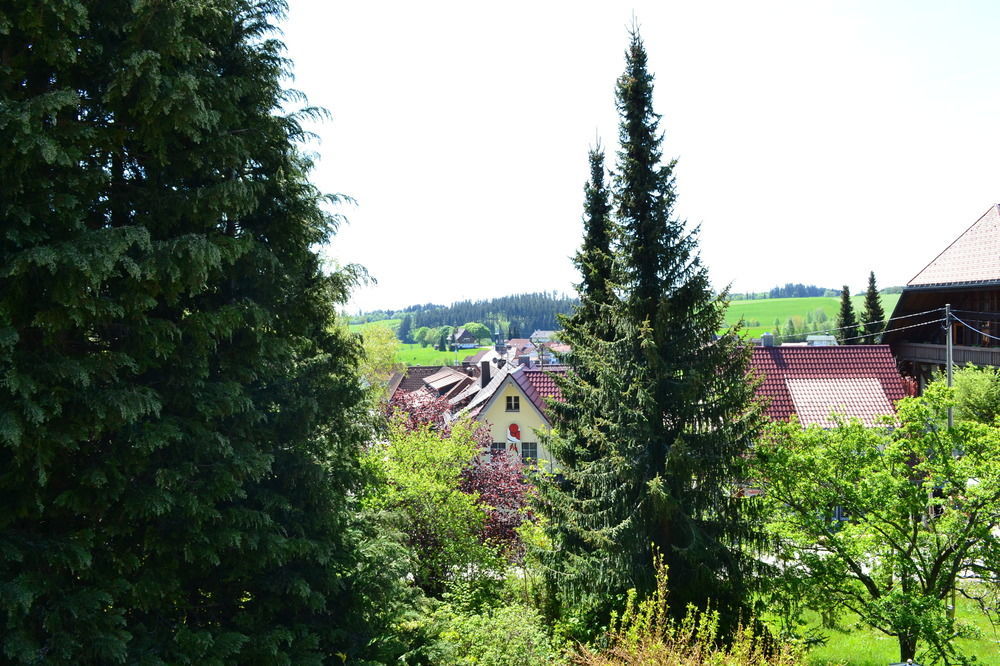 Black Forest Rooms Grafenhausen Buitenkant foto